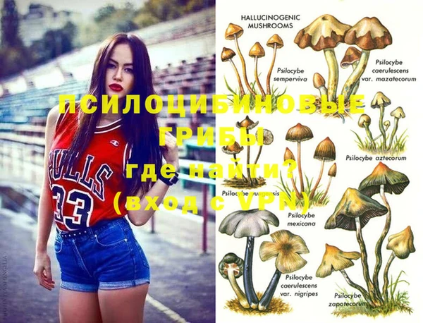 бошки Володарск