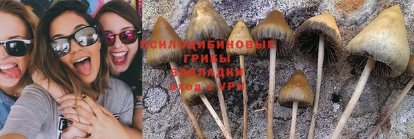 бошки Володарск
