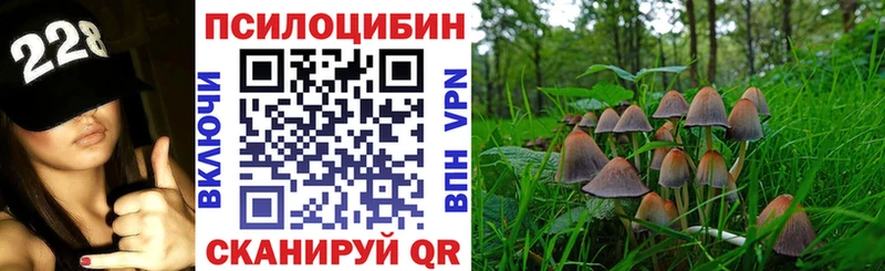 Галлюциногенные грибы прущие грибы  Володарск 