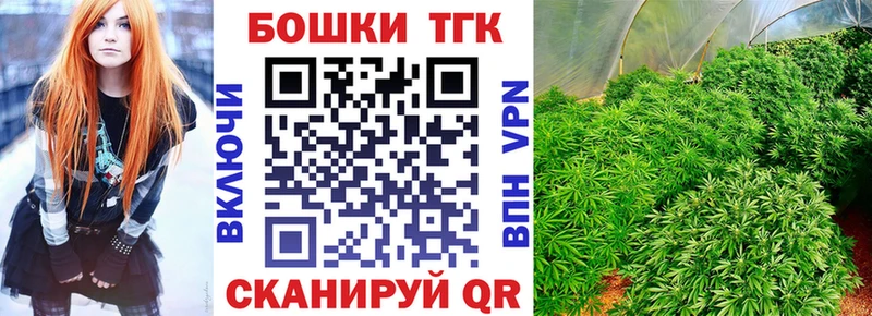 дарнет шоп  Володарск  Канабис сатива 
